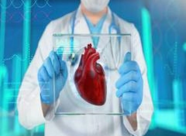 Health News | Study Reveals Two Protein Pathways Downregulated in Postnatal Heart
