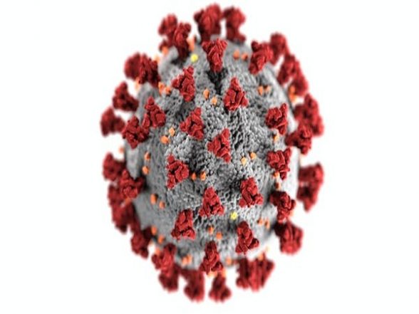 Health News | Nanoparticle Treatment May Benefit Individuals Hospitalized with Severe COVID-19 Infections - Vimarsana News