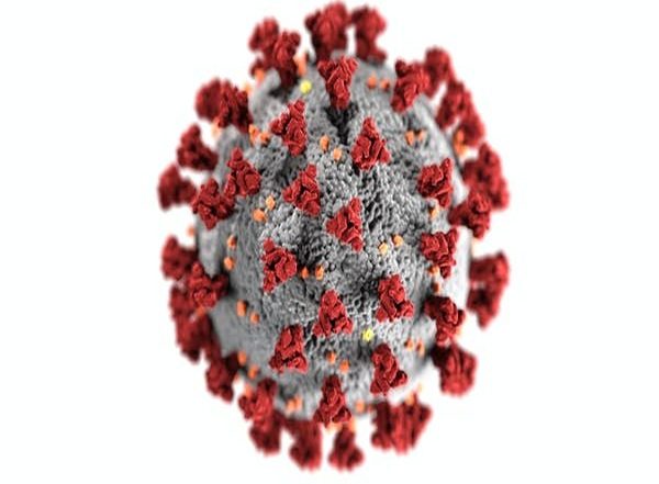 Health News | Nanoparticle Treatment May Benefit Individuals Hospitalized with Severe COVID-19 Infections