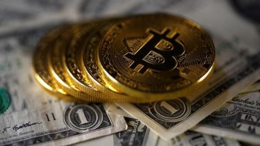 Business News | ED Raids Director of Crypto Firm WazirX, Freezes Rs 64.67 Crore Bank Balance