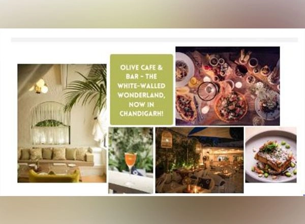 Business News | The Olive Cafe & Bar, the White-walled Wonderland, Opens in the City Beautiful