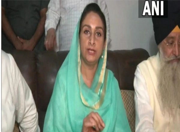 India News | Punjab Lumpy Skin Disease: SAD Leader Slams Govt, Demands Rs 50,000 Compensation for Rearers