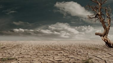 Environment News | Extreme Heat and Drought Events Necessitate More Thorough Risk Assessment:Study