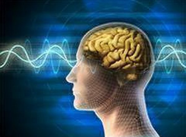 Health News | Do You Know Iron Buildup in Brain Linked to Higher Risk for Movement Disorders? Study Reveals