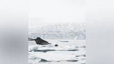 Science News | Researchers Warn Antarctica's Ice Shelves Can Melt at Accelerated Rate