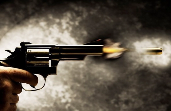 India News | Man Arrested for Firing at In-laws' Home in Delhi