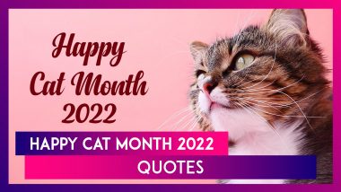 Happy Cat Month 2022 Quirky Quotes To Share and Celebrate Our Furry Friends