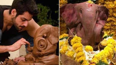 Karan Wahi Misses Welcoming Lord Ganesha This Year, Showcases His Art of Sculpting Ganpati Idols! (View Pics)