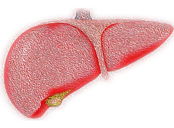 Science News | Research Finds Mutations in Novel Gene Responsible for Severe Liver Disease in Children