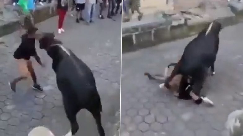 Bull Stomps on Man's Face, Raging Animal Mercilessly Attacks Him Before Running Away in Viral Video!