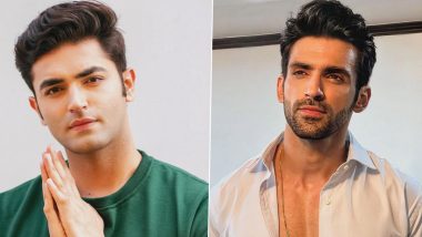 Naagin 6: Not Arjit Taneja, Sasural Simar Ka 2 Actor Akash Jagga To Be Seen in Colors’ Supernatural Show!