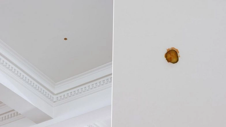Costliest Pickle Ever? Australian Artist Matthew Griffin Charges Whopping Rs 4.9 Lakh For McDonald's Cheeseburger Pickle That He 'Flung Onto Ceiling'! See Viral Art