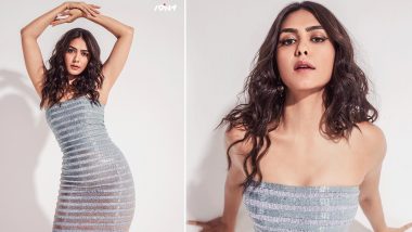 Mrunal Thakur Looks Exuberant in Silver Strapless Dress Apt for a Party; View Photos of Sita Ramam Actress