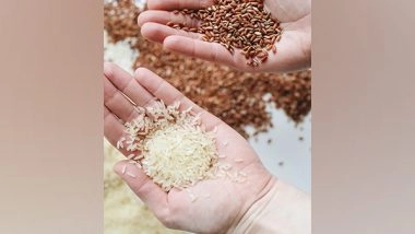 Business News | Latest Estimate Shows India's Foodgrain Production to Be Record High in 2021-22