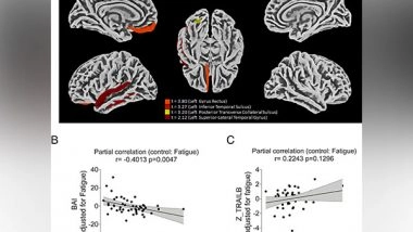 Health News | Study Describes How COVID-19 Damages the Brain
