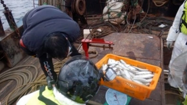 Zero COVID policy in China, Fish Mouths, Fishermen Getting Swabbed