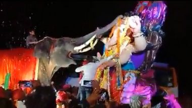 Video of Elephant Worshipping Ganpati Idol For Ganesh Chaturthi 2022 Goes Viral, Wins Hearts of the Netizens!