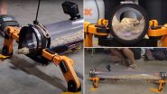 Do Snakes Have Legs? Viral Video Shows Snake Walking With Robotic Legs Thanks to an Engineer Who Decided To Play God!