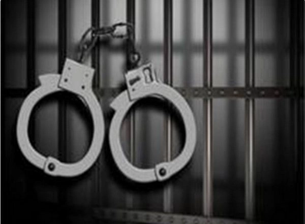 India News | Anti-Narcotic Task Force Busts Drug Nexus Between Afghanistan, Punjab, Arrests One Person