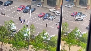 TW: Man Repeatedly Drives Car Over Girlfriend and Brutally Kills Her in Northern China; Gruesome Video of Incident Goes Viral