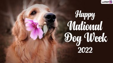 National Dog Week 2022 Images & HD Wallpapers for Free Download Online: WhatsApp Message and Greetings To Share With Fellow Dog Parents