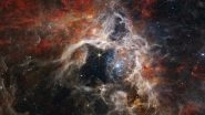 Cosmic Tarantula Nebula! NASA's&nbsp;James Webb Space Telescope Captures Image of&nbsp;30&nbsp;Doradus In Its Full Glory; See Tweet&nbsp;