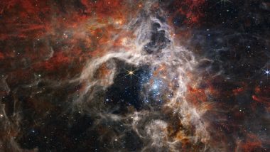 Cosmic Tarantula Nebula! NASA's James Webb Space Telescope Captures Image of 30 Doradus In Its Full Glory; See Tweet 