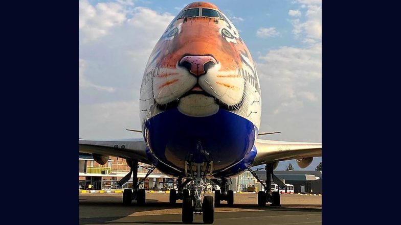 Video: This Special Flight of Boeing 747 Painted With Tiger’s Face Will Bring Cheetahs to India From Namibia on PM Narendra Modi's Birthday