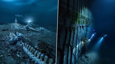 Haunting Whale Graveyard Viral Pics Captured by Swedish Photographer Alex Dawson in Denmark for Scuba Diving Photo Contest Freak Out Internet!