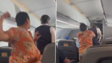 Video: Passenger Punches Flight Attendant for Not Letting Him Use First Class Restroom in Plane; Gets Lifetime Ban From US Airline