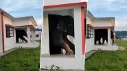 Elephant Wriggles Out of Building's Small Door After Eating Up Tasty Snacks; Video Goes Viral&nbsp;