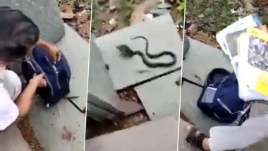 Watch: Cobra Found Hidden Inside Girl's School Bag in Madhya Pradesh; Teacher Takes Out Deadly Poisonous Snake in Viral Video