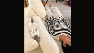 BTS V aka Kim Taehyung and BLACKPINK Jennie's Dating Rumours Heat Up as New Viral Pic Claims Tae Tae Sleeping Next to Jennie's Cat