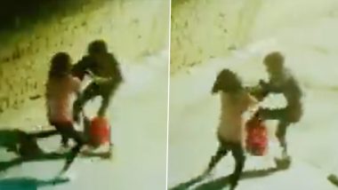 Video: Brave Woman Fights Off Robber in Delhi, Gets Back Her Snatched Mobile Phone and Forces Him to Flee