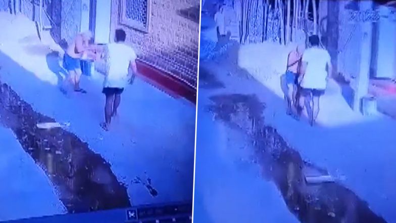 Rajasthan Shocker: Son Beats Father Over Household Matters in Jodhpur, Arrested After Video Goes Viral