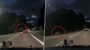 WATCH: Deer Jumps Over Moving Car to Save Itself from Collision; Video of Rare Sight Goes Viral