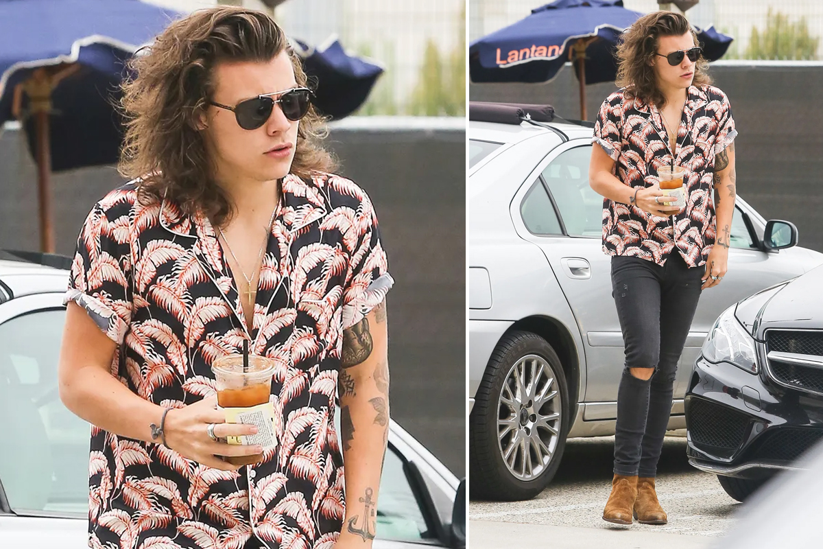 Don't Worry Darling Actor Harry Styles' Street Style is a Lesson on Comfort  Dressing!