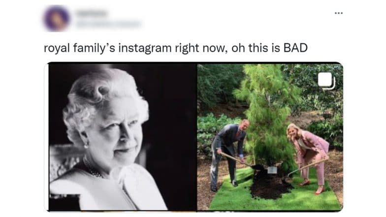 Royal Family Instagram Page With Side-By-Side Posts of Queen Elizabeth II Demise Announcement and Royal Members Digging At Garden Is One Hella Awkward Placement!