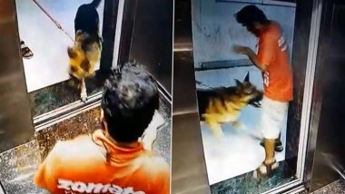 Dog Attack Viral Video: Clip of Dog Biting Zomato Delivery Boy’s Private Parts Going Viral Again