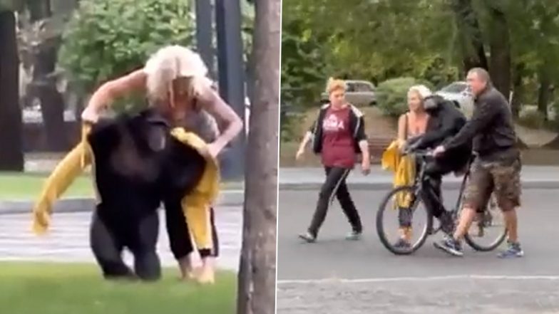 Chimpanzee Escapes From Kharkiv Zoo, Returns on Cycle After Employee Gives Him Rain Coat; Watch Video