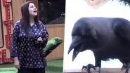 Bigg Boss 16: Shehnaaz Gill Mimicking a Crow From the Controversial Show&rsquo;s 13th Season Will Leave You in Splits! (Watch Video)