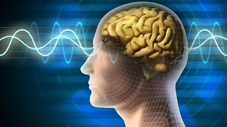 Exercise and Mindfulness Training Ineffective in Improving Brain Power in the Elderly: Study