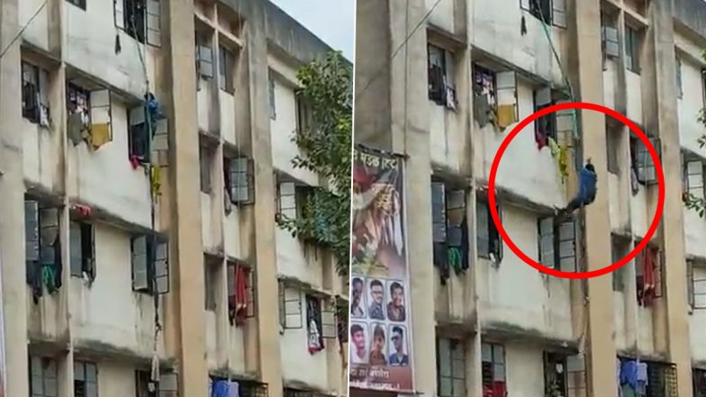 Pune: Drunk Man Tries to Climb Down From Window of His Fifth Floor House, Loses Balance And Falls To Death; Watch Video