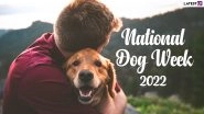 Cute Dog Quotes for National Dog Week 2022: Wishes, WhatsApp Status, Images and HD Wallpapers To Appreciate Our Furry Companions