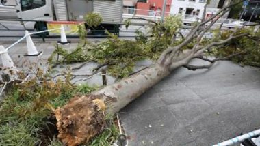 Japan: Powerful Typhoon Hinnamnor Lashes Okinawa Islands Through Weekend, Evacuation Ordered (Watch Video)
