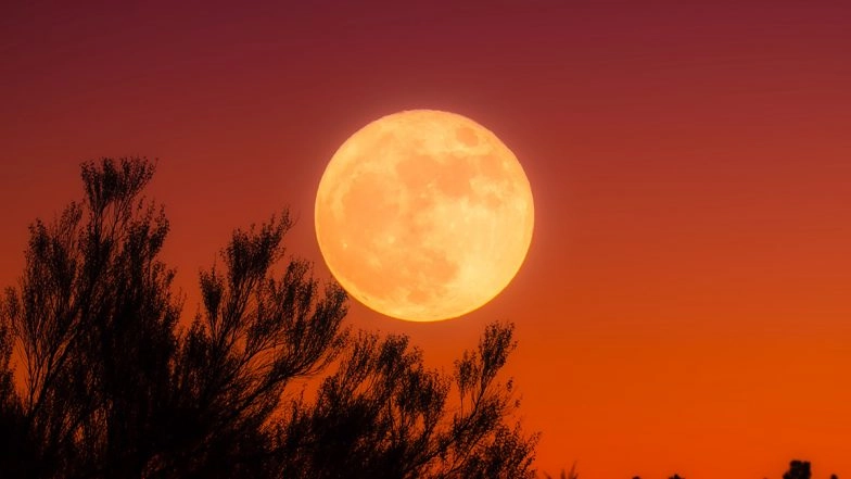 Read About Harvest Moon 2022: Date, Visibility, IST Timing And Other Important Details 