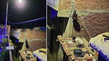 Photo of Kid Studying in Street Light on Roof of Shanty Goes Viral