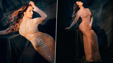 Malaika Arora Flaunts Enviable Curves in Body-Hugging Shimmery Gown; View Pics of Bollywood Actress