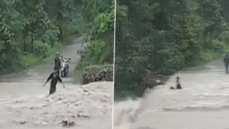 Video: Man Washed Away Due to Strong Current of A Rainy Drain in Uttarakhand’s Fatehpur, Search Operation Underway