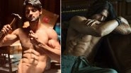 Karan Wahi Shares Shah Rukh Khan&rsquo;s Shirtless Photo in Reference to His Own on Instagram (View Pics)